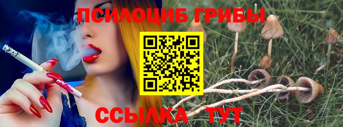 Феодосия  Псилоцибиновые грибы ЛСД  Вход с VPN  Галлюциногенные грибы мухоморы 